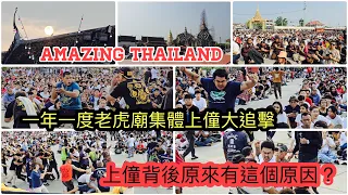 2024/4/23🛕🐯【師傅到】去泰國佛統 Wat Bang Phra老虎廟觀摩萬人拜師法會！大班人同時「上僮」好震撼！🥊 揭發集體上僮原因可能是……~✹香港#移居泰國 旅遊達人Roger胡慧冲