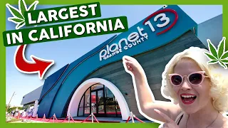 INSIDE PLANET 13 🚀 California's Largest Dispensary!
