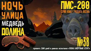 НОЧЬ. УЛИЦА. МЕДВЕДЬ. ДОЛИНА ☠️ THE LONG DARK ☠️ «ПМС-200» ☠️ #38