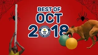 Best of October 2018 - Guinness World Records