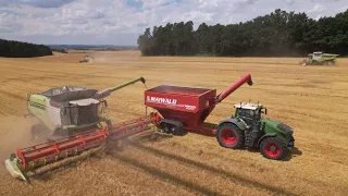 Harvest 2022 🌾 | 5x Claas Lexion in one field (1x780 - 3x770 - 1x 760) | AG Maiwald 🇨🇿