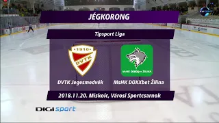 DVTK Jegesmedvék-MsHK Žilina 4-2