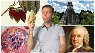 Why Theobroma Cacao does not mean “Food of the Gods” - History of Chocolate & Cocoa