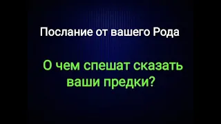 Послание от вашего Рода. О чём хотят сказать ваши Предки? Ченнелинг. Таро Дзен Ошо ☀️ Общий расклад