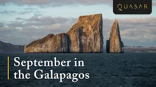 September in the Galapagos Islands - What to Expect