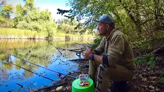 Вирубав новий берег і ТЯГАЮ КАРАСІВ!!!