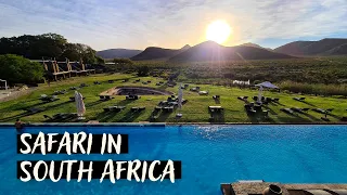 Aquila Private Game Reserve | Safari near Cape Town | South Africa