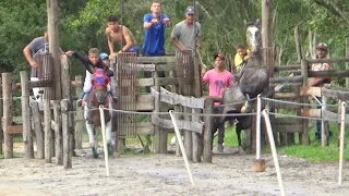 I TORNEIO AMIGO CELINO - Corrida de cavalos