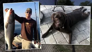 Florida man takes own life after alligator kills support dog