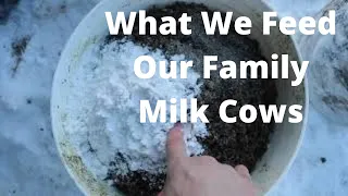 What We Feed Our Family Milk Cows