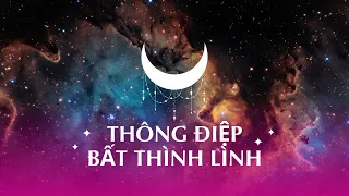 Thông điệp Bất Thình Lình| Bí Ẩn Thông Điệp Tarot