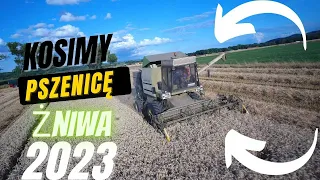 Kosimy pszenicę🌾 Fortschritt 514 & JOHN DEERE. 2X FENDT |TOP-FARMS