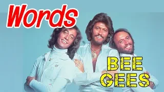 Words - BEE GEES Karaoke HD