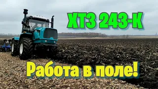 Трактор ХТЗ 243К  в поле!