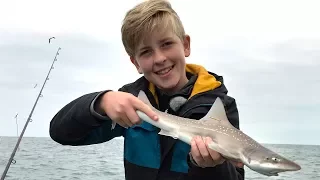 Viskid op haaitjes / shark fishing (English subtitles).