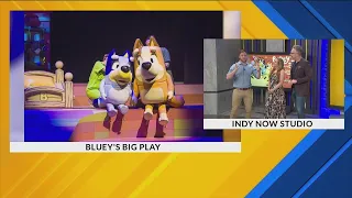 Bluey's Big Play! - 5/31/24