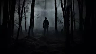 3 True Creepy Forest Horror Stories [Creature Encounter ,Haunted Cabin & MORE!]