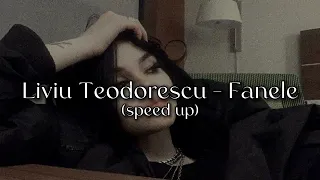 Liviu Teodorescu - Fanele (speed up)