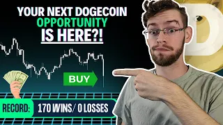 Is this Dogecoin Drop A BUY Opportunity? (170 Wins, 0 Losses) | DOGE Price Prediction