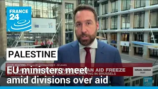 EU ministers meet amid divisions over Palestinian aid • FRANCE 24 English