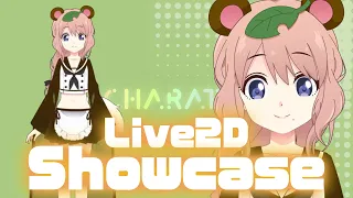 【Live2D/Showcase】たぬきアンヒー【VTuber/VTubeStudio】