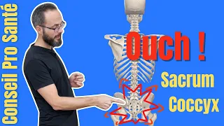 Pain SACRUM and/or COCCYX 5 Exercises to RELIEVE and improve the MOBILITY of the Pelvis