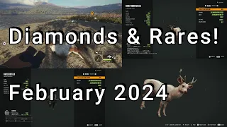 February 2024 Diamond & Rare montage