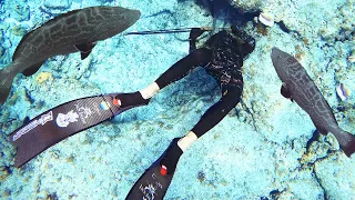 The Fish Were EVERYWHERE! Primitive BAHAMA Spearfishing & Camping!