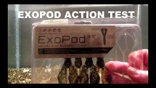 BioSpawn EXOPOD tank test