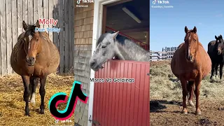 Mares TikTok Compilation 2022 #34