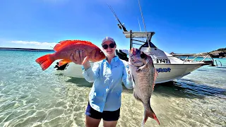 Deep Sea Fishing Is So Much Fun! Offshore Fishing Adventure