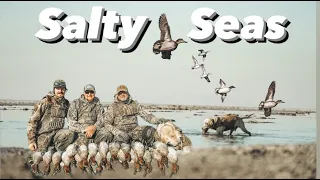 Utah Great Salt Lake Hunt 3 man Limit 2022: Salty Seas