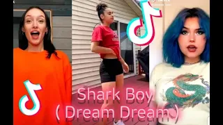 Shark Boy ( Dream Dream )