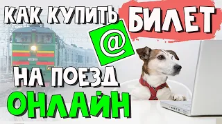 2 способа узнать, сколько стоит билет на поезд для собаки