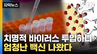 [자막뉴스] 한방에 해결!...놀라운 백신 개발 / YTN