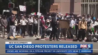 UC San Diego protestors released