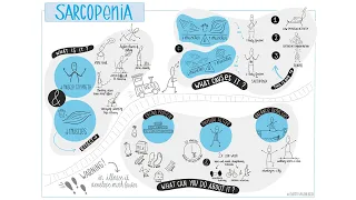 Sarcopenia, what is it, what is the cause and what can you do about it?