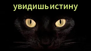 ЗНАНИЯ которые ты искал