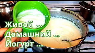 Йогурт / Какое взять молоко / Какая должна быть температура / Какую закваску для домашнего йогурта