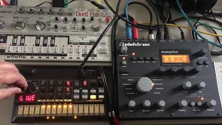 TB303 Devilfish + Volca Beats