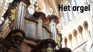 Het orgel