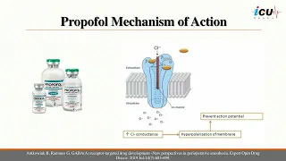 Sedative Agents in the ICU