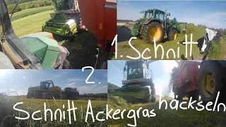 1. Schnitt gras & 2 Schnitt Ackergras 2019 häckseln mit Claas, John Deere,...