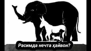 Расимда нечта ҳайвон бор?