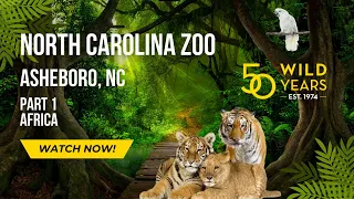 Let's visit the North Carolina Zoo, in Asheboro, NC! Part 1: Africa!