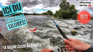 Du TRÈS GROS silures sous cette CHUTE !