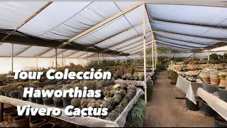 Tour Vivero más grande de Cactus 🌵en Mexico 🇲🇽PARTE 2