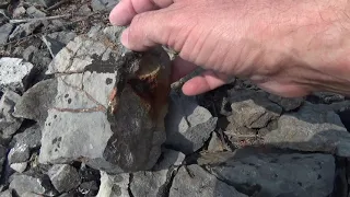 A Fossil Hunters Dream Rockport Quarry In Alpena Michigan