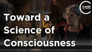 Susan Blackmore - Toward a Science of Consciousness