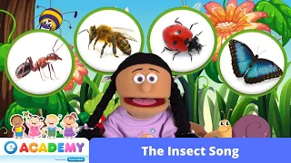 Insect Song | Insects and Creepy Crawlies | STEM Songs for Kids | Children | Kindergarten |Preschool